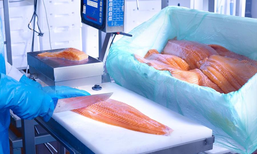 Pieters Foodservice, le specialiste des produits de la mer 