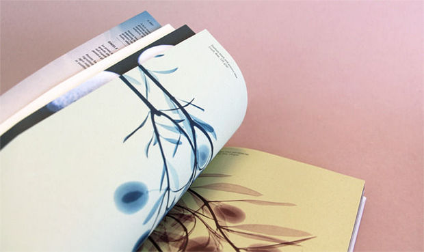 Igepa présente la nouvelle brochure Crush !