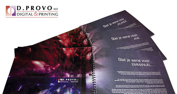 D. Provo remplace le maillon faible administratif