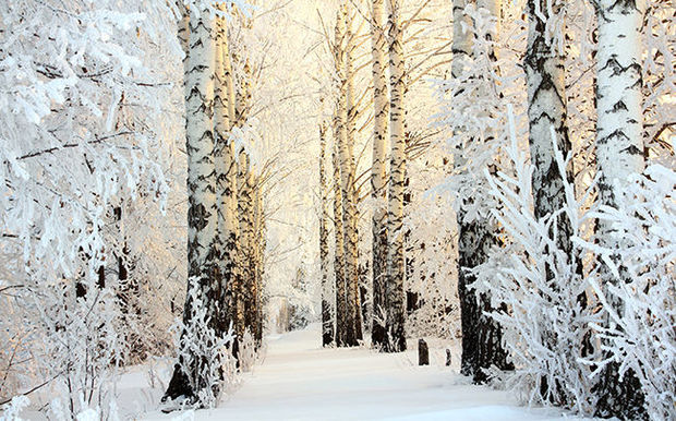 Ce temps de canard vous met dans le pétrin ? Ce produit fera pour vous la pluie et le beau temps !