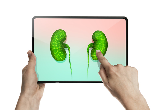 Eén Belg op tien heeft nierschade