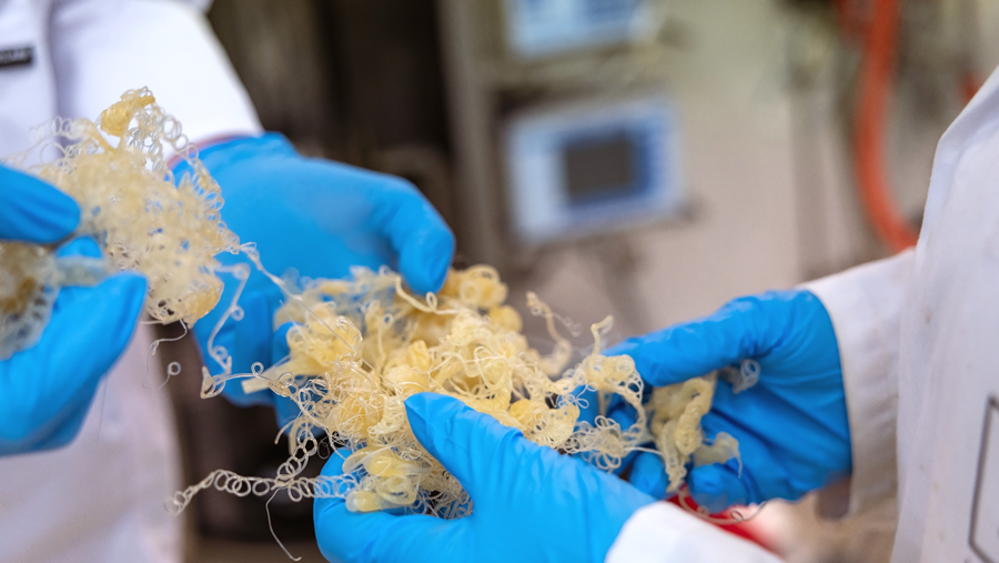 Zonnepanelen van gras en groene polymeren