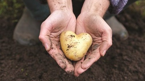 Farm Frites staat voor u klaar!